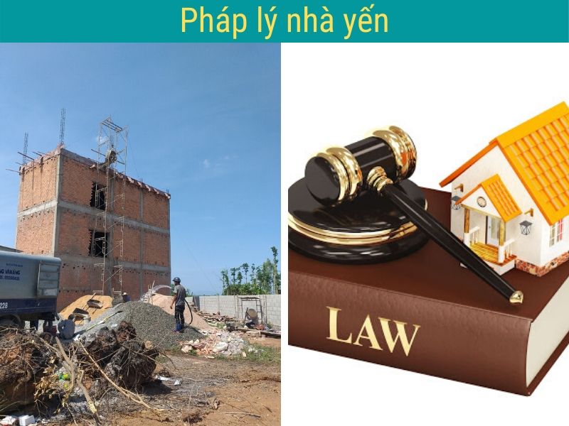 Giấy phép xây dựng nhà nuôi yến theo quy định của pháp luật 3 Giấy phép xây dựng nhà nuôi yến theo quy định của pháp luật