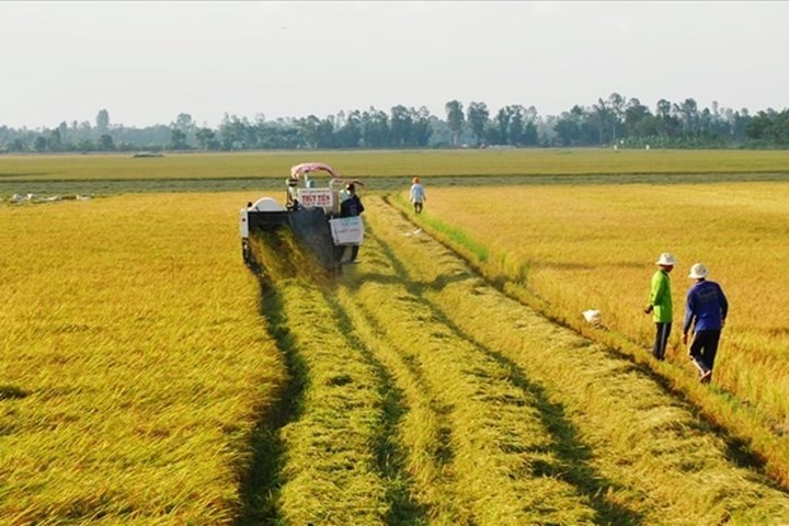 Diện tích tối thiểu chuyển mục đích sử dụng đất: Quy định mới nhất 2 Diện tích tối thiểu chuyển mục đích sử dụng đất: Quy dịnh mới nhất