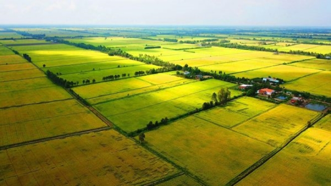 Chuyển mục đích sử dụng đất không phải xin phép theo quy định Pháp Luật 2 Chuyển mục đích sử dụng đất không phải xin phép theo quy định Pháp Luật