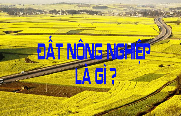 Thế nào là đất nông nghiệp 