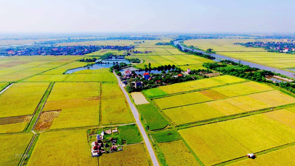 Chuyển đổi mục đích sử dụng đất - Những quy định của pháp luật xoay quanh vấn đề này 3 Phân loại đất đai