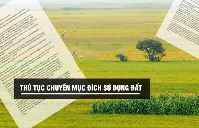 Diện tích tối thiểu chuyển mục đích sử dụng đất: Quy định mới nhất 3 Diện tích tối thiểu chuyển mục đích sử dụng đất: Quy dịnh mới nhất