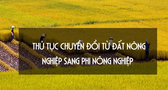 Chuyển mục đích sử dụng đất: Thông tin cần biết 5 Thủ tục chuyển mục đích sử dụng đất